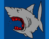 Dibujo Tiburón 1 pintado por JAUMEEE