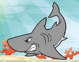 Dibujo Tiburón enfadado pintado por Elcapo