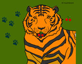 Dibujo Tigre 3 pintado por mateo123