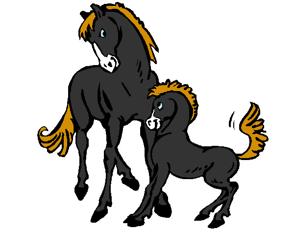 Caballos