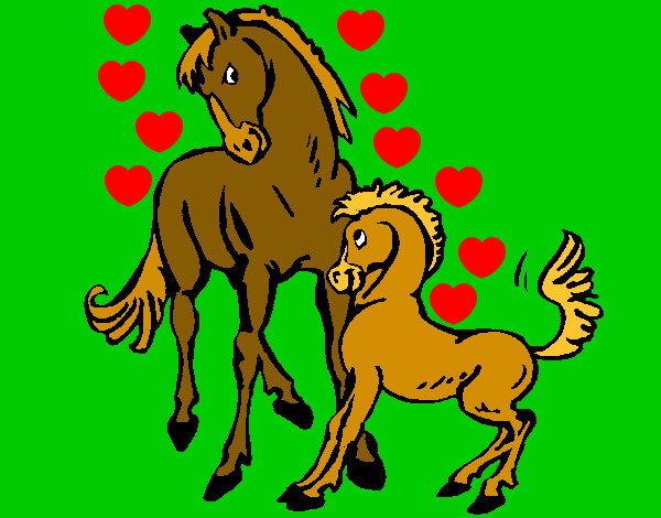 Caballos