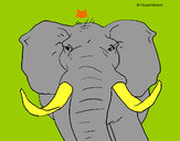 Dibujo Elefante africano pintado por AdriMaria