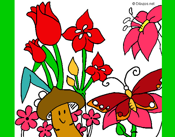 Dibujos de la flora y la fauna para colorear - Imagui