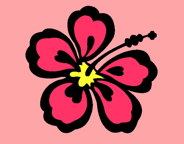 flor hawaiiana