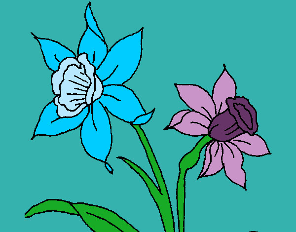 Dibujo Orquídea pintado por claudia422