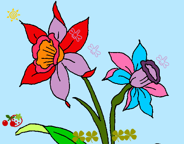 Dibujo de orquideas multicolor pintado por Marta3333 en  el día  07-05-12 a las 20:14:58. Imprime, pinta o colorea tus propios dibujos!