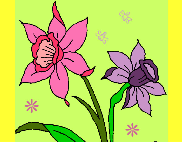 Dibujo Orquídea pintado por PEPITAYO5