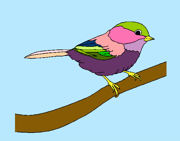 Dibujo Pájarito 1 pintado por isido 