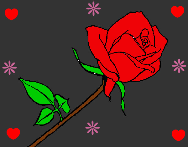 Dibujo Rosa pintado por chuyiita