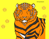 Dibujo Tigre 3 pintado por jazminJASF