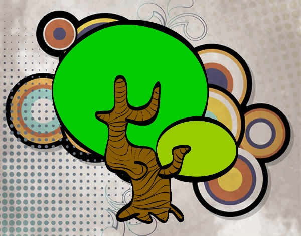 árbol bonsai