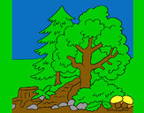 Dibujo Bosque 1 pintado por khris 