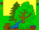 Dibujo Bosque 1 pintado por Polito