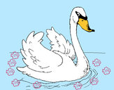 Dibujo Cisne en el agua pintado por manster