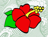 Dibujo Flor de lagunaria pintado por wapiii