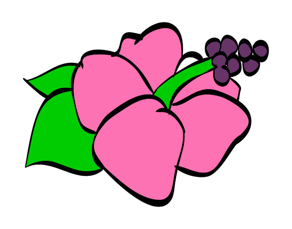 Dibujo Flor de lagunaria pintado por xilypyly