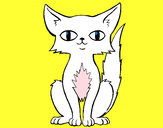 Dibujo Gato persa pintado por Polito
