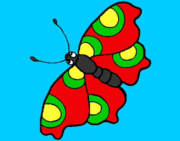 mariposa 15 