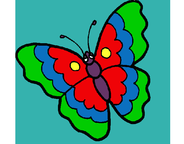 mariposa de tres colores