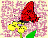 Dibujo Mariposa en flor pintado por migl