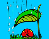 Dibujo Mariquita protegida de la lluvia pintado por queyla