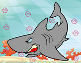 Dibujo Tiburón enfadado pintado por karina7