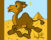 Dibujo Camello 1 pintado por queyla