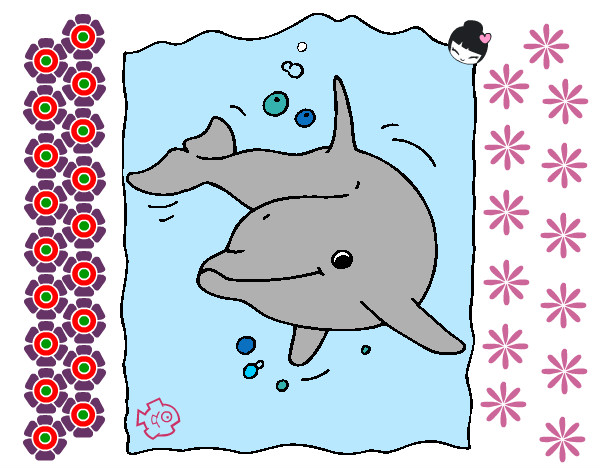 delfin feliz