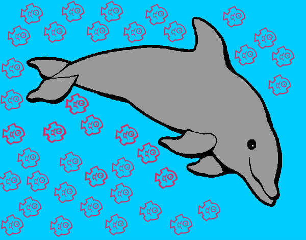 delfin feliz