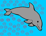 Dibujo Delfín contento pintado por sebastiang