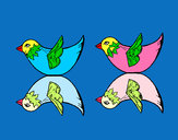 Dibujo Dos pájaros pintado por queyla