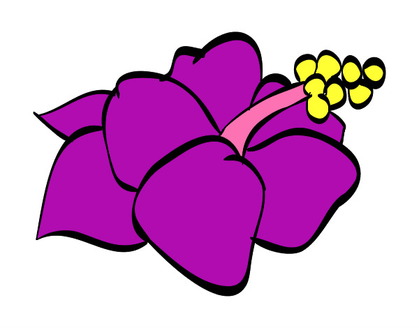 Dibujo Flor de lagunaria pintado por ibeth 