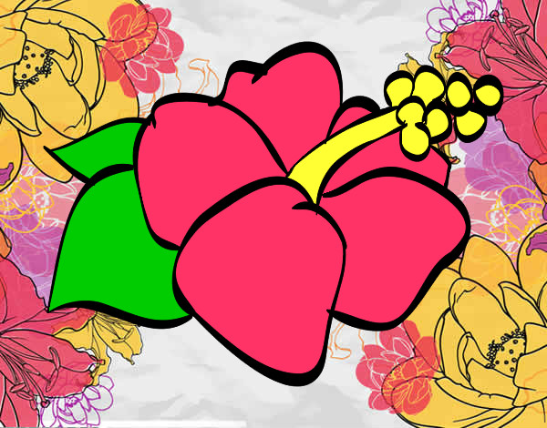 Dibujo Flor de lagunaria pintado por rinni18