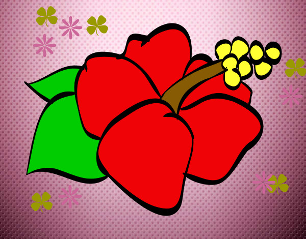 Dibujo Flor de lagunaria pintado por Valerita3
