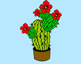 Dibujo Flores de cactus pintado por shelu