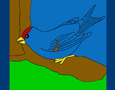 Dibujo Gorrión en una rama pintado por karen19845
