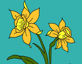Dibujo Orquídea pintado por fanyjazmin