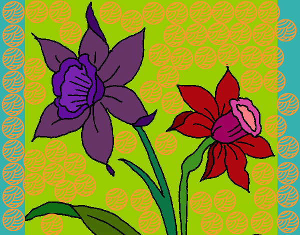 Dibujo Orquídea pintado por Mixely