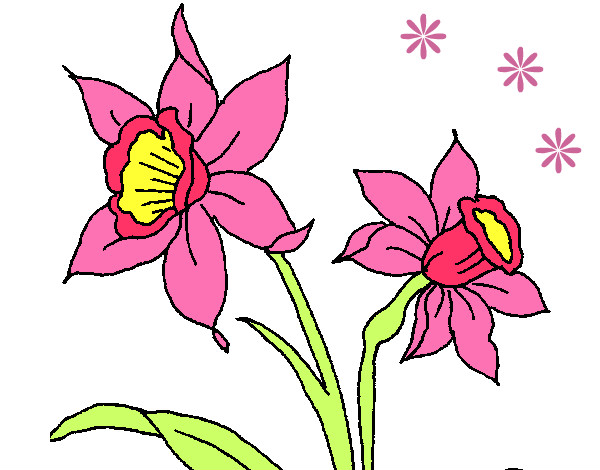 Dibujo Orquídea pintado por Nataly97