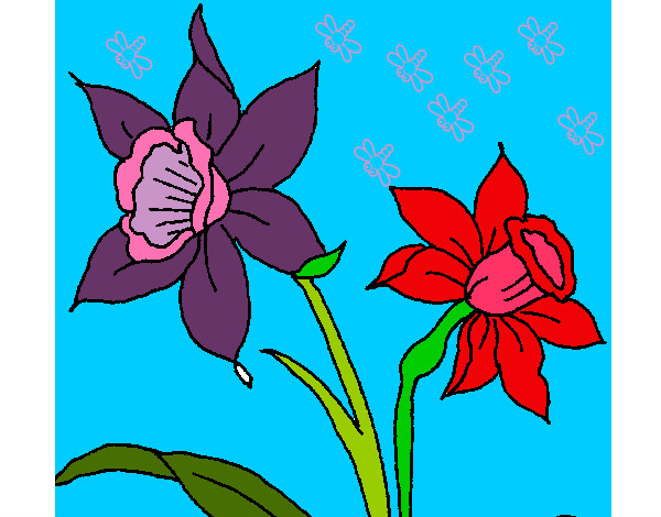 Dibujo Orquídea pintado por serjios