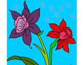 Dibujo Orquídea pintado por serjios