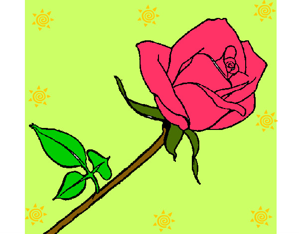 rosa de jhornely