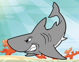 Dibujo Tiburón enfadado pintado por Luruchi