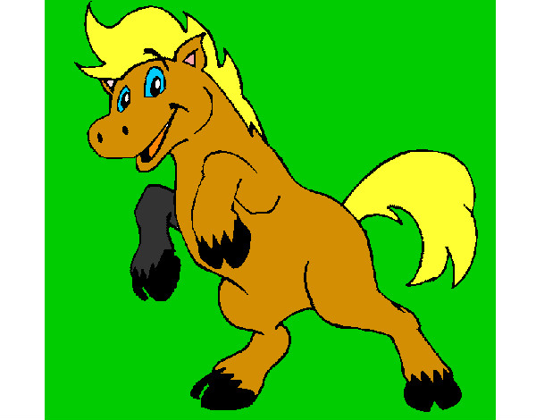 Pony Pon