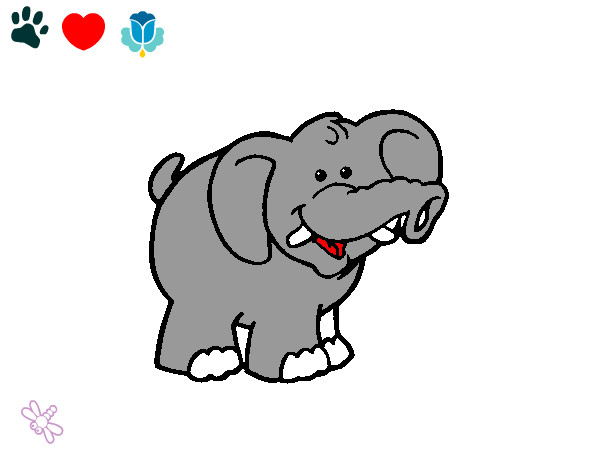 Elefante 3
