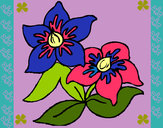 Dibujo Flores 3 pintado por nataliaTV