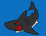 Dibujo Tiburón enfadado pintado por daniel354