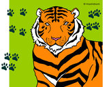 Dibujo Tigre 3 pintado por ashley1305