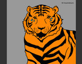 Dibujo Tigre 3 pintado por Beleem