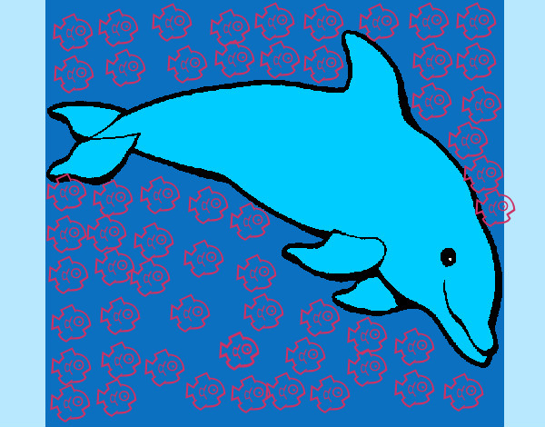 mi pecheño dofin